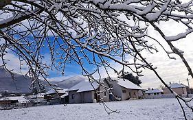 Apartmani Petrovic Semce Suva Planina